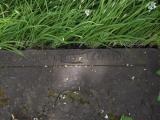 image of grave number 409952